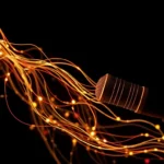 Wires aprueba la creación de la vocalía de talento y trabajo